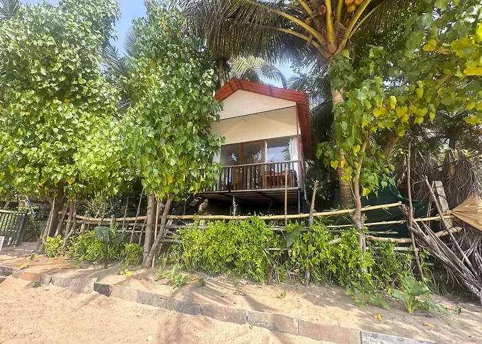 Costantina - Agonda Beach