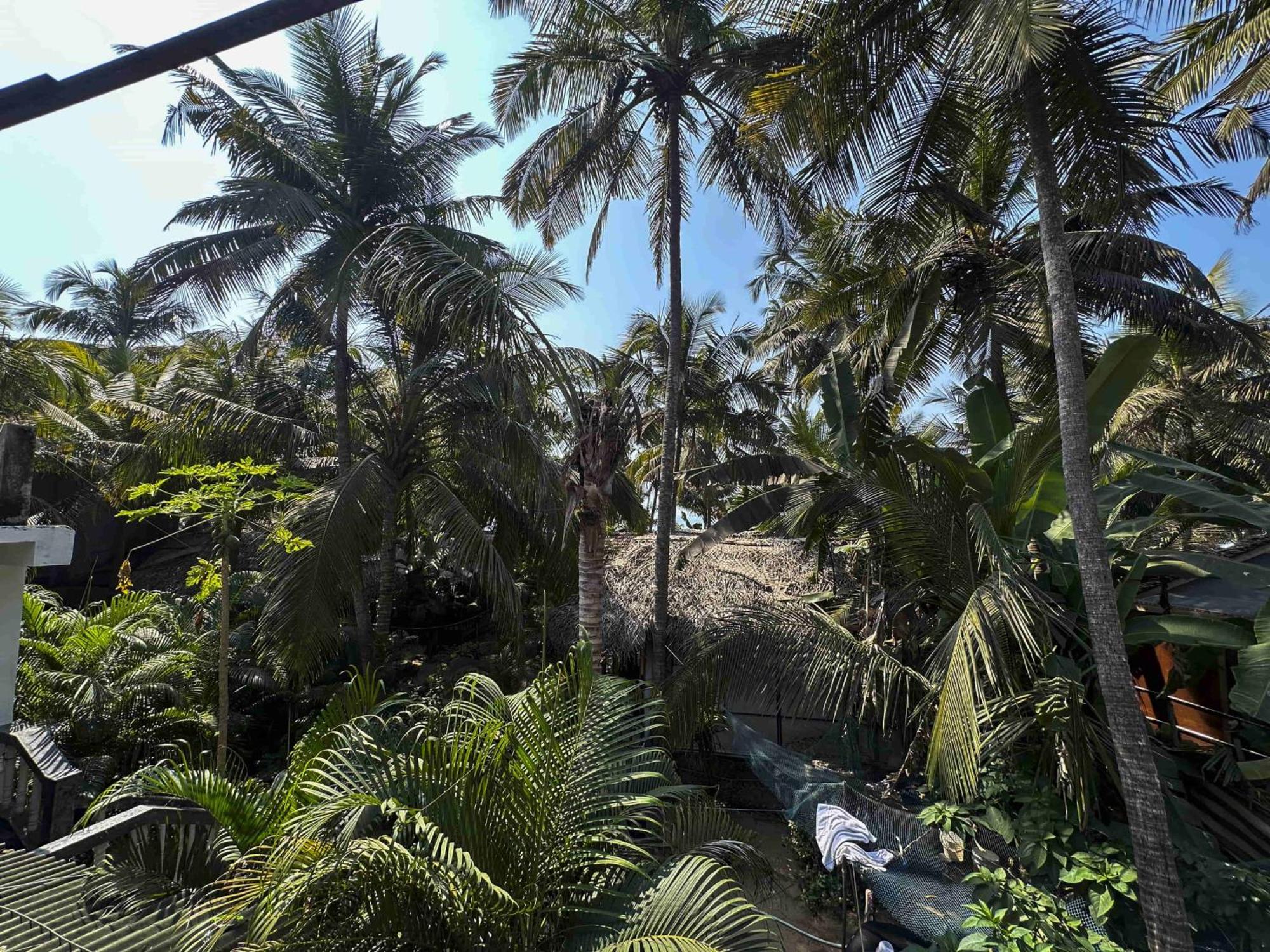 गेस्ट हाउस Costantina - Beach Agonda